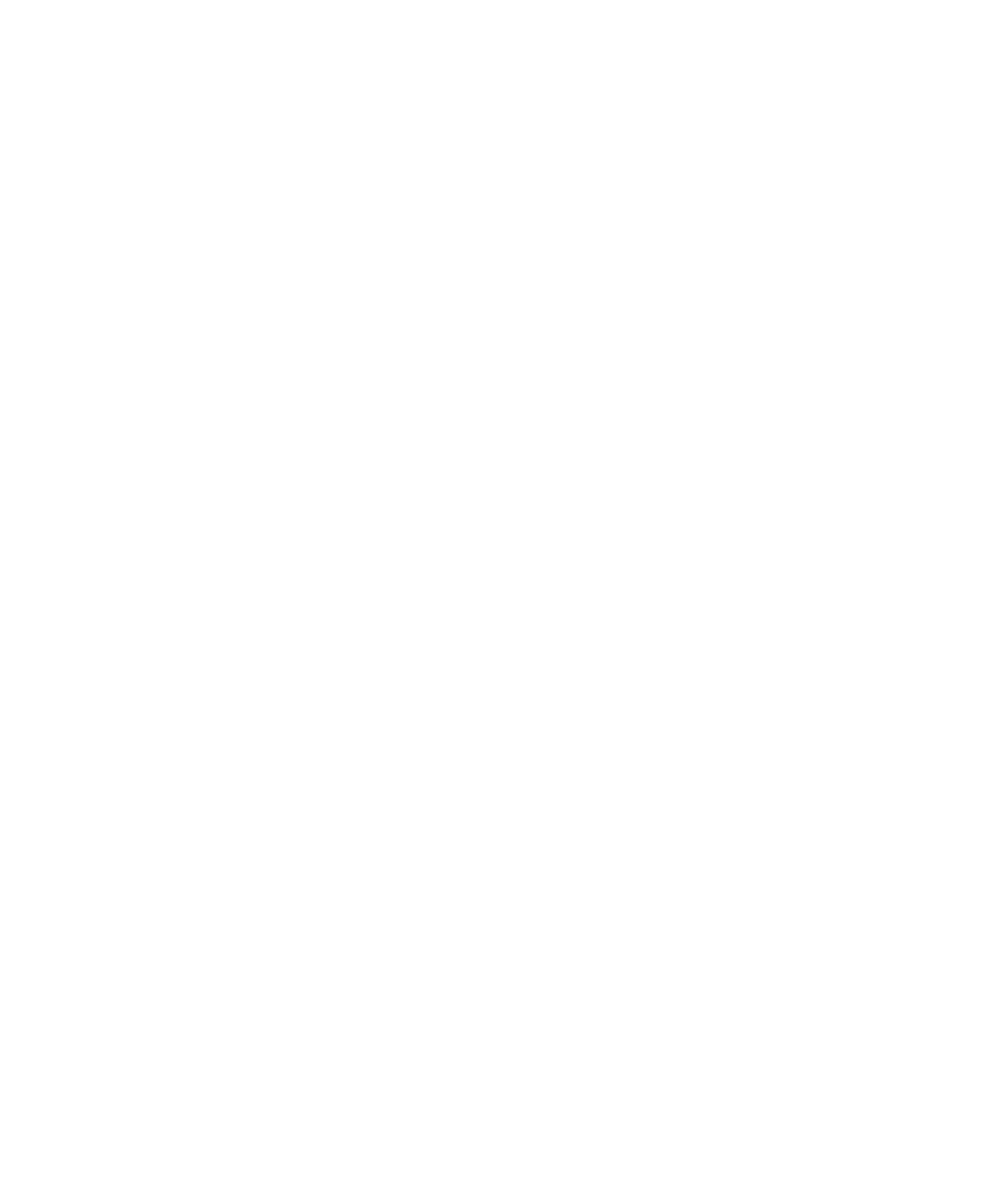 青森県産 完熟カシス100% 添加物不使用